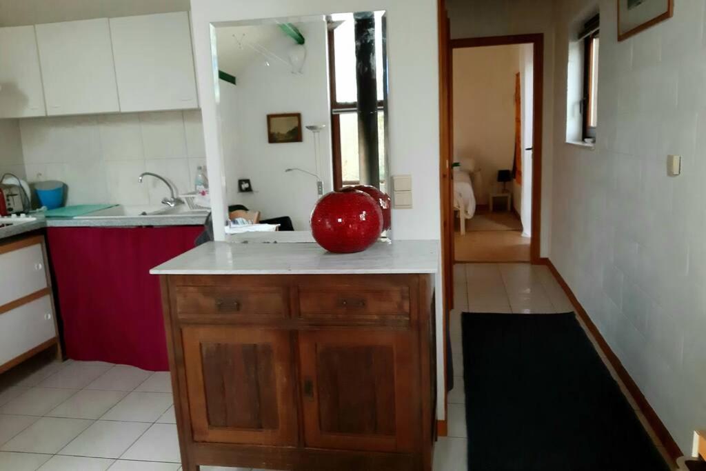La maison sous les arbres photo 4