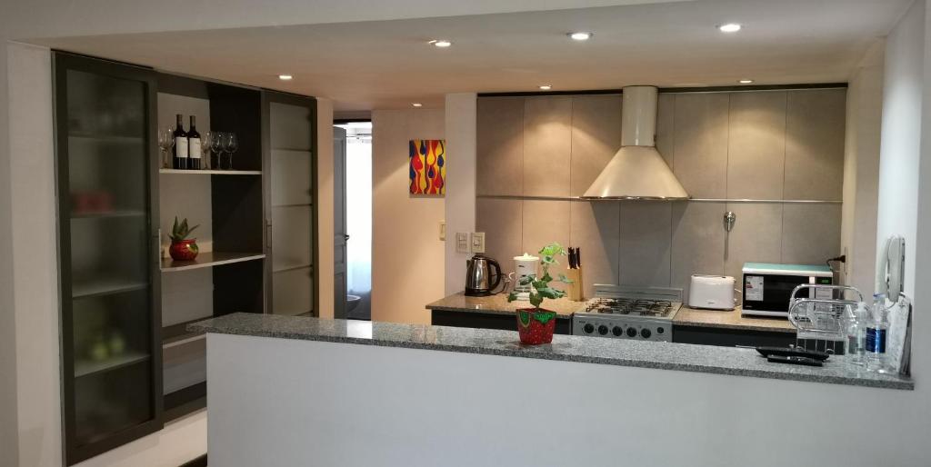 Belgrano Apartment con cochera photo 2