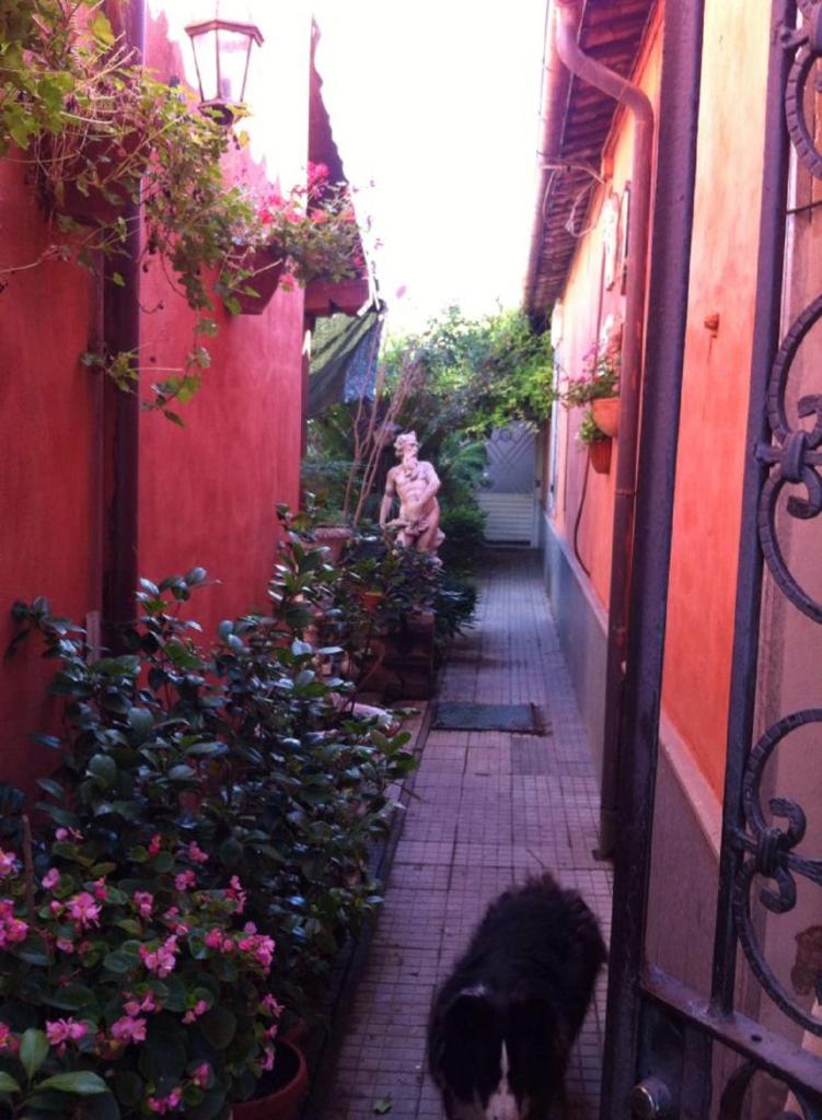 Casa "Oasi" Centro Storico photo 2
