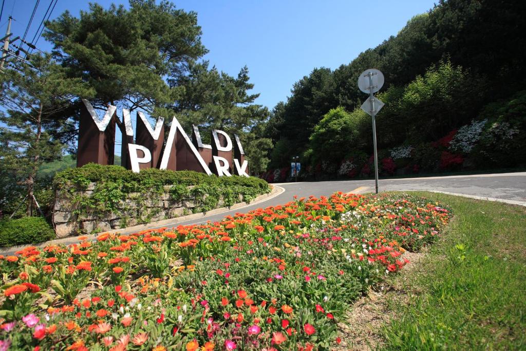 Vivaldi Park photo 3
