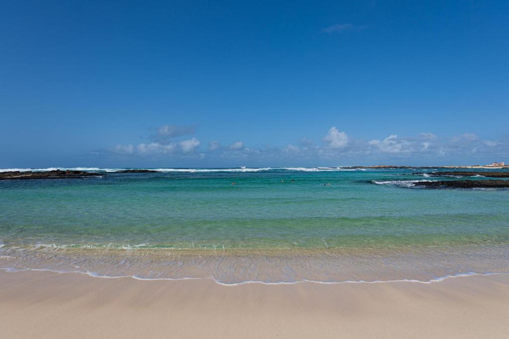 HomeForGuest Modern and New Beachfront Apartment photo 4