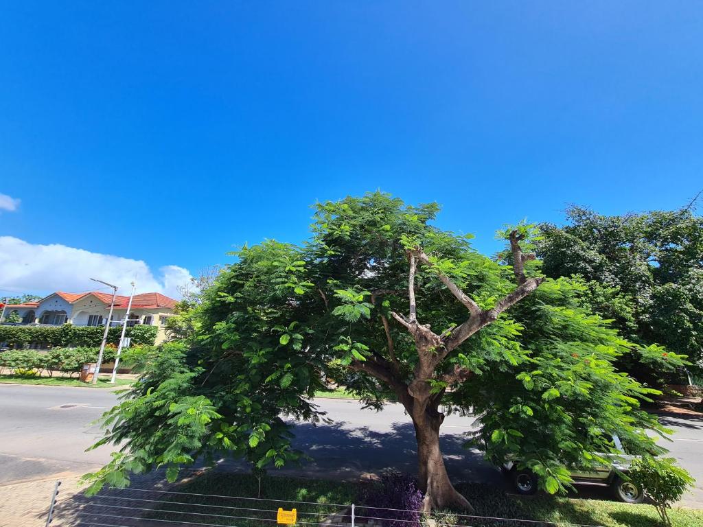 Stay Inn - Guest House photo 4