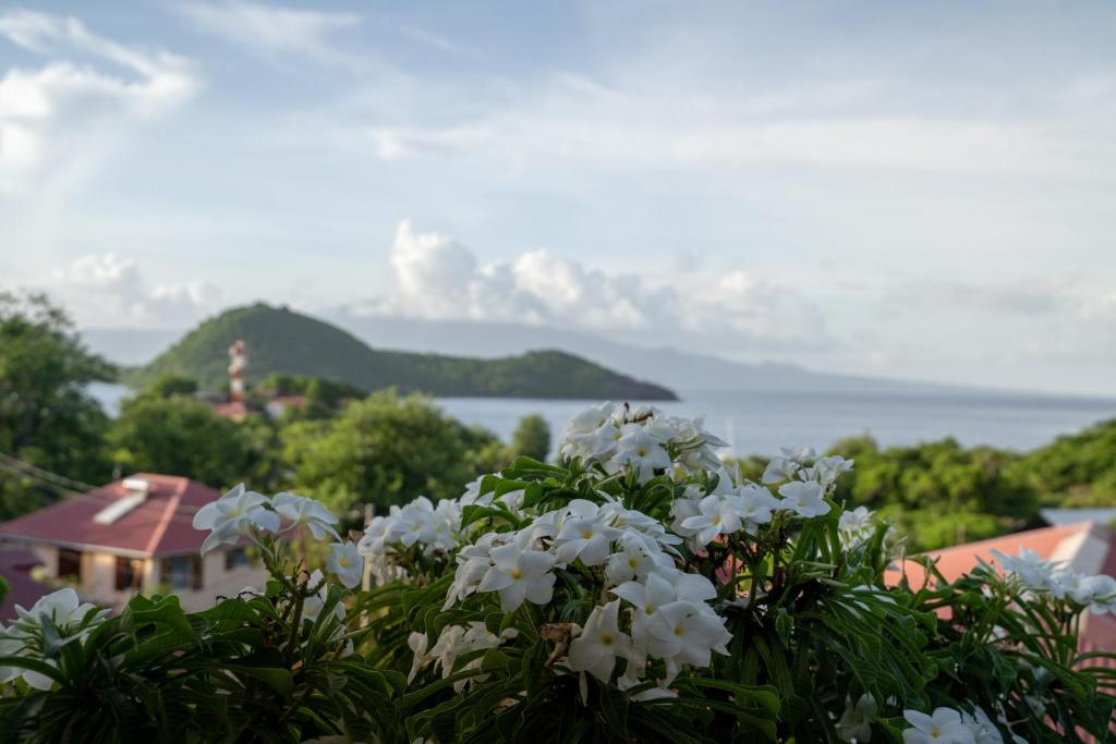 Bungalow Anse Figuier photo 4