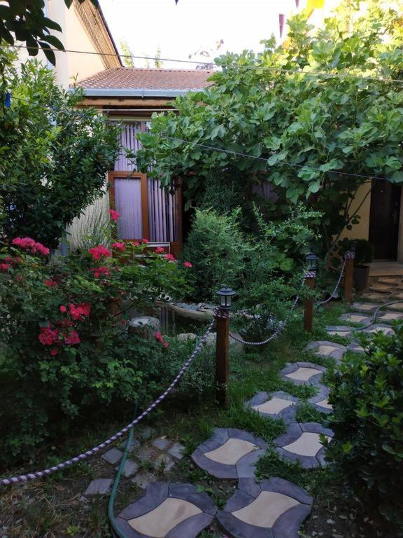 Sim-Sim Hostel & Backpackers Yousef Steel