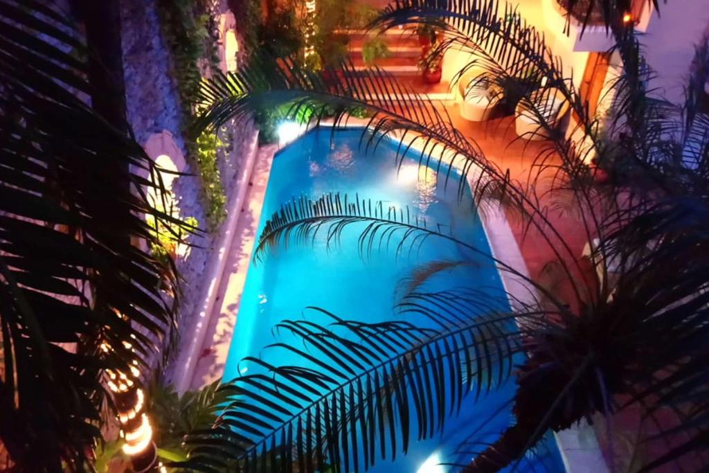 Acanto Hotel Playa del Carmen, Trademark Collection by Wyndham photo 4