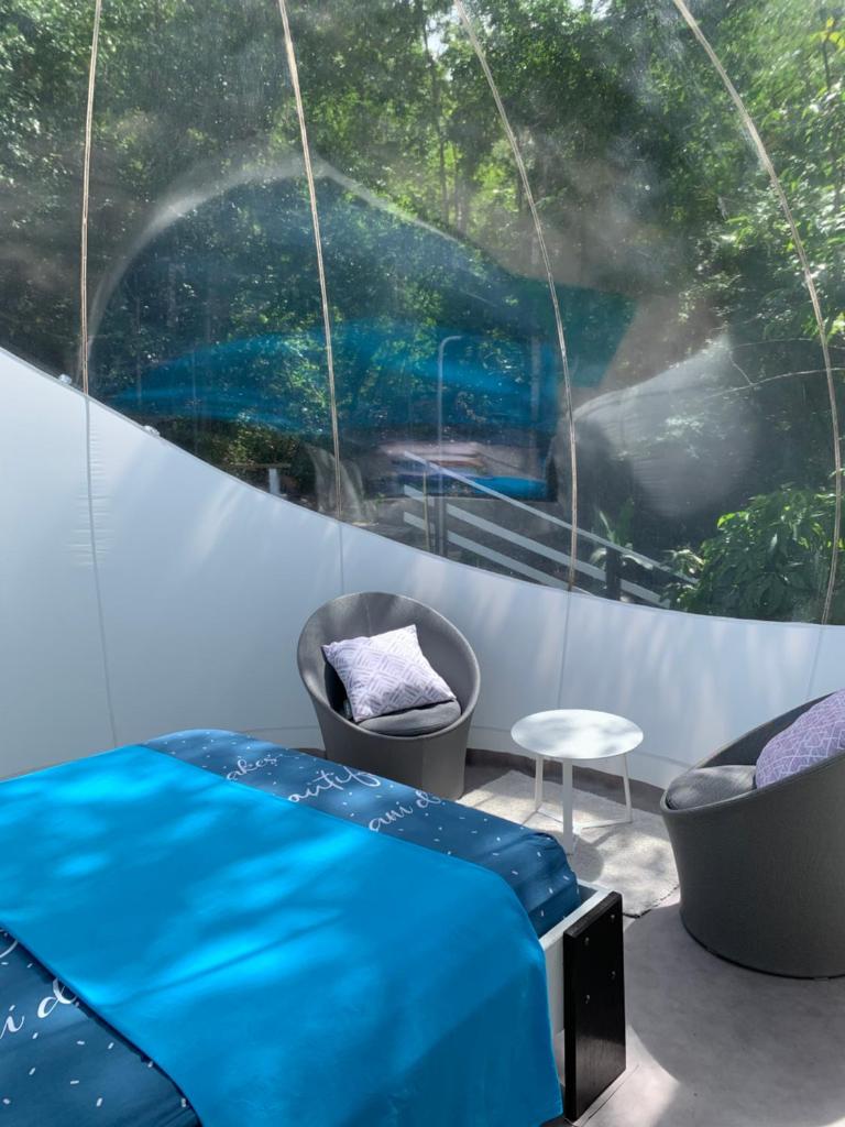 CHALET & MAISONS BULLES Deluxe photo 4