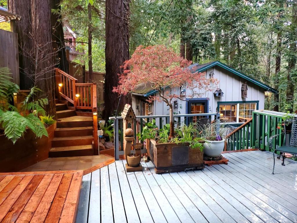 Guerneville Cottage! Redwoods! Hot Tub! Fire Table! Fast WiFi!! Serenity Defined! photo 1