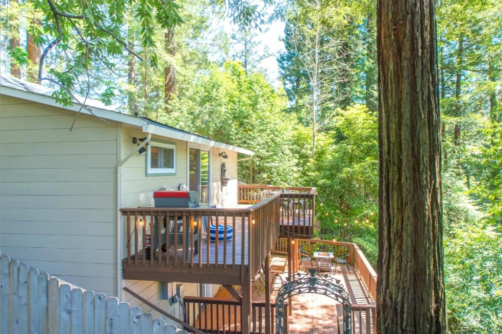 Summit Sanctuary! Redwoods! Fire Table!! BBQ Grill! Fast WiFi!! Dog Friendly! photo 4