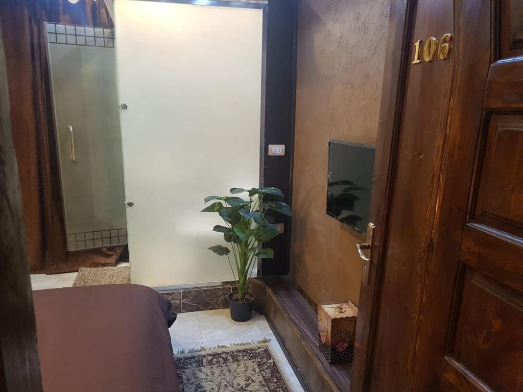 Двухместный (Двухместный номер с 2 отдельными кроватями и террасой), Cairo Plaza Hotel