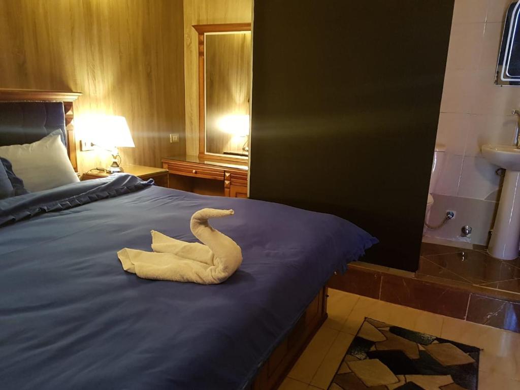 Двухместный (Двухместный номер Делюкс с 1 кроватью и балконом), Cairo Plaza Hotel