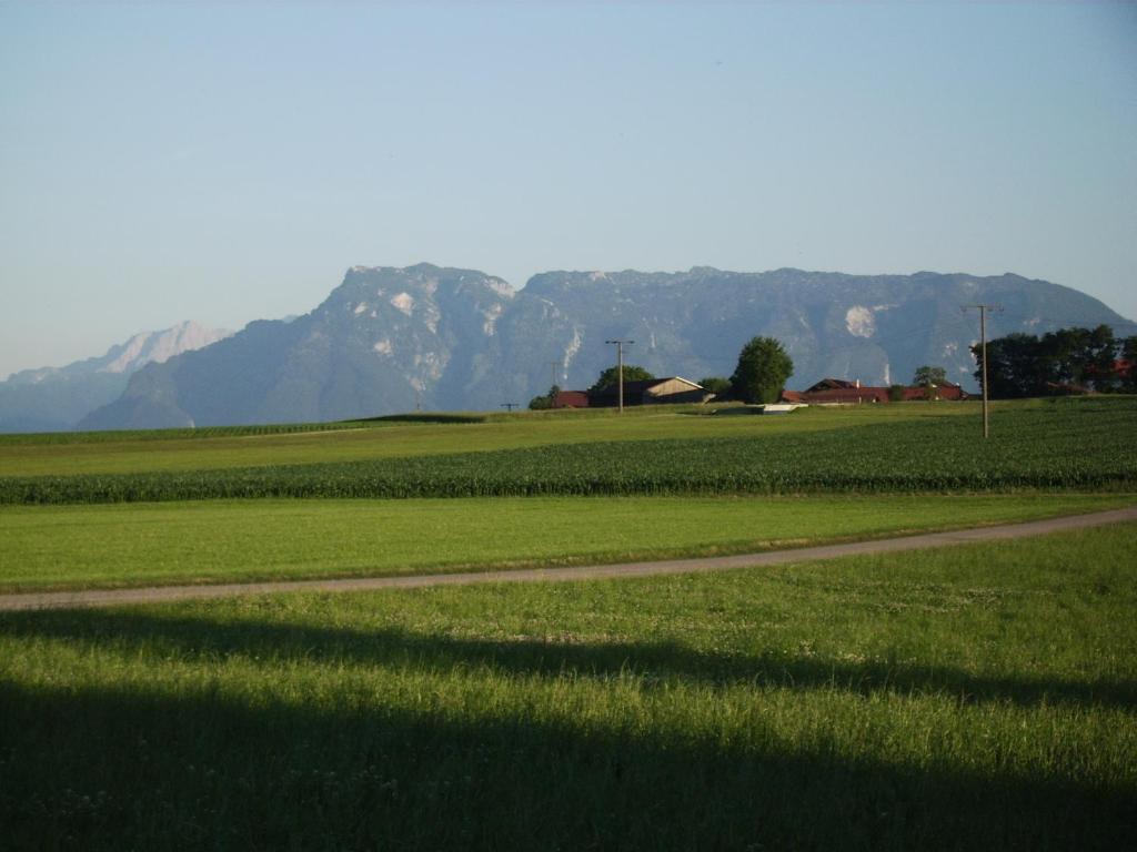 Ferienwohnung Öderhof photo 3