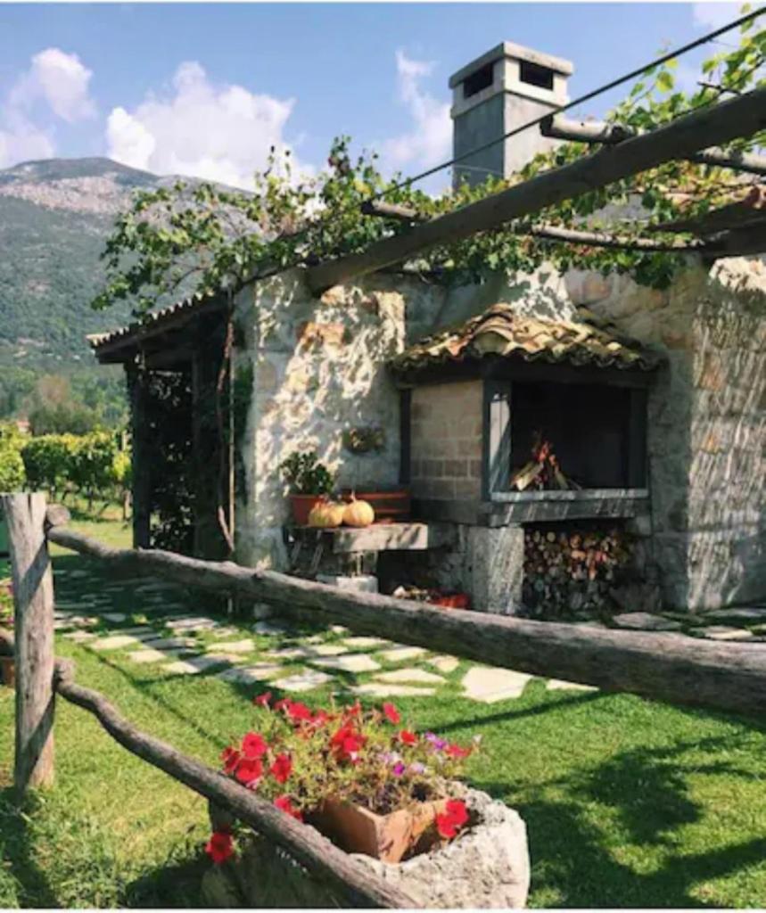 Vineyard Eco Cottage near Dubrovnik photo 4