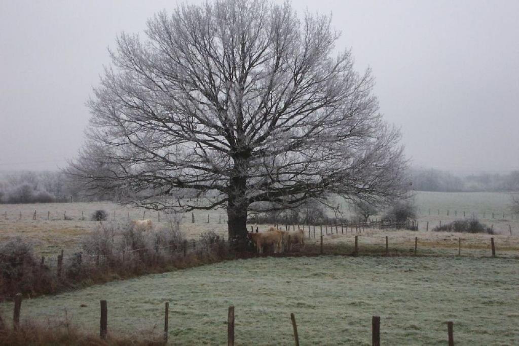 le Chaumois photo 2