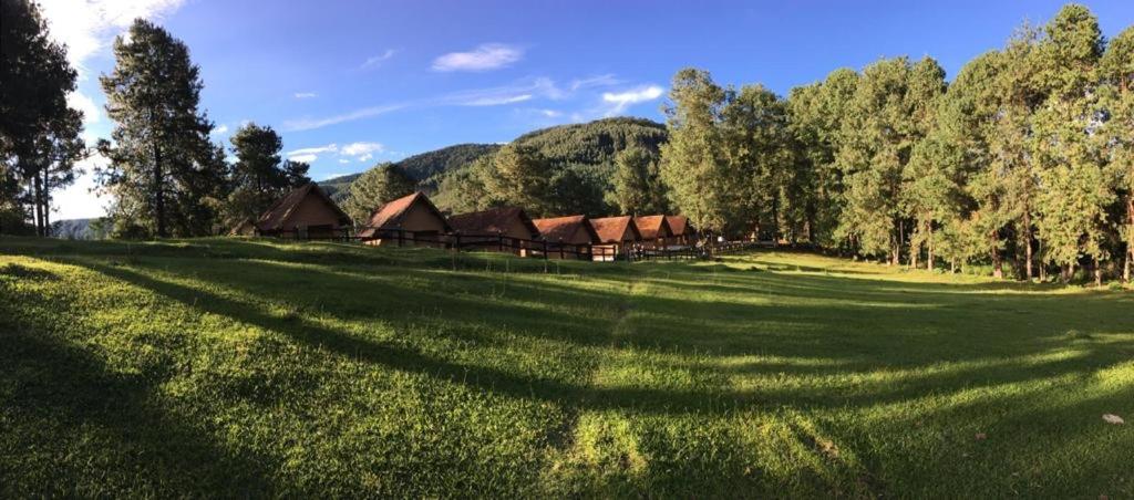 Pousada São Luiz - Monte Verde photo 1