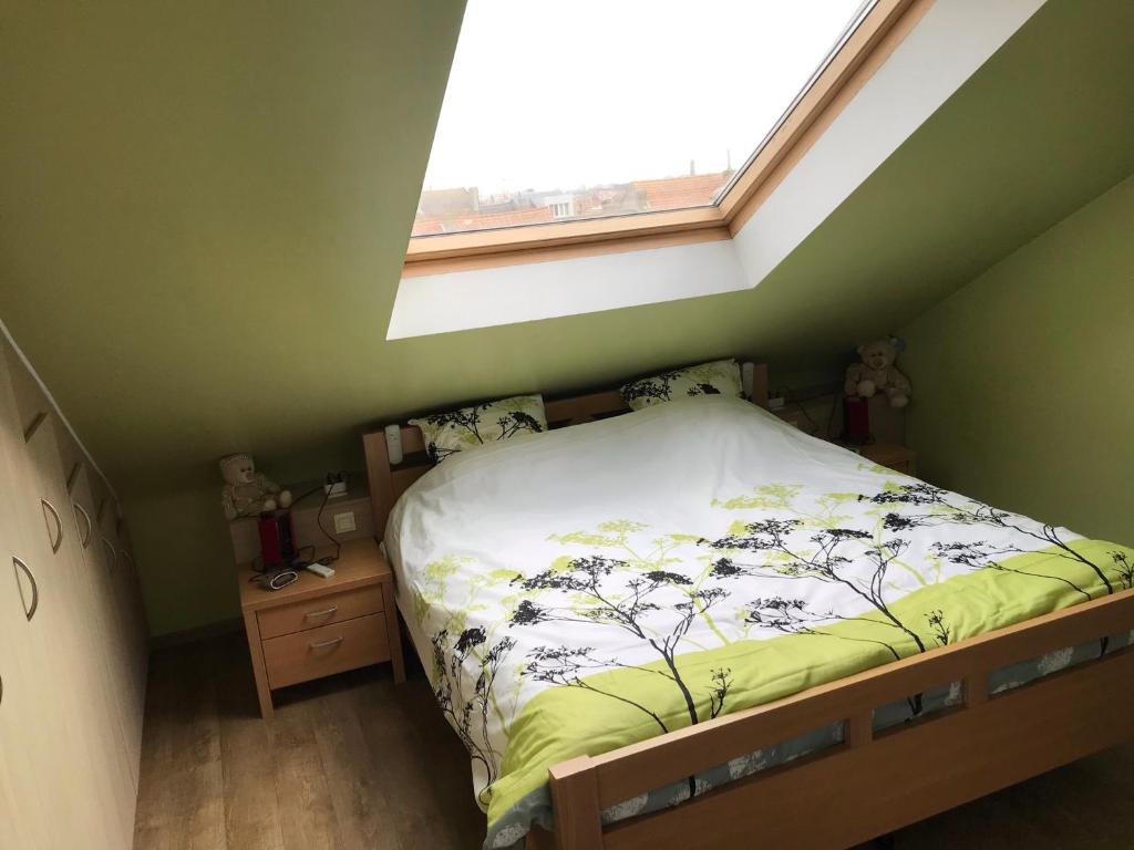 Duplex Blankenberge photo 4