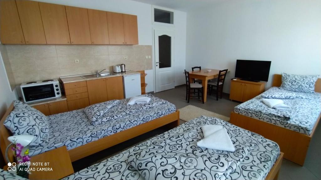 Apartmani - Vila Kovilje photo 1