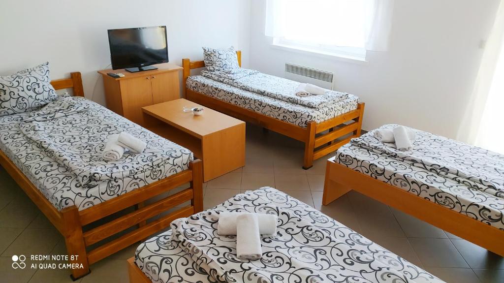 Apartmani - Vila Kovilje photo 3