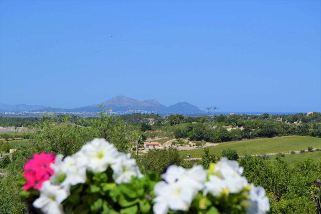 Casa Cas Padri 130 by Mallorca Charme photo 1