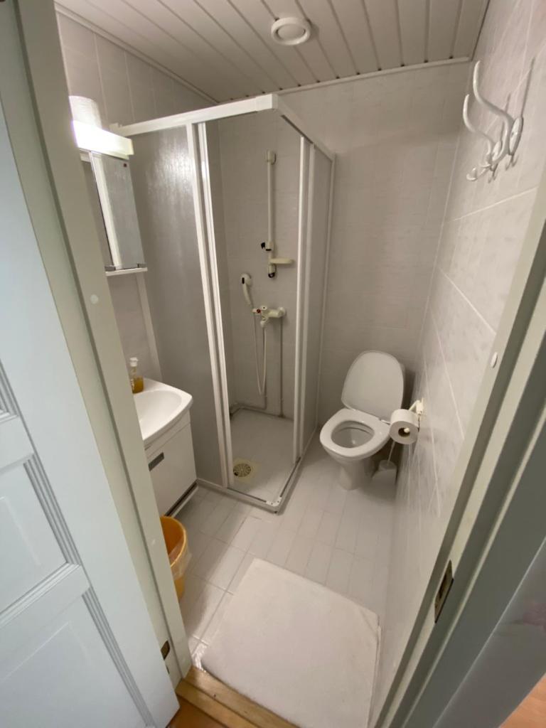 Hotelli Kultainen Joutsen photo 4