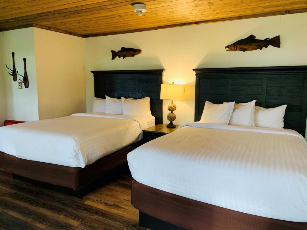 Lake Quinault Lodge photo 2