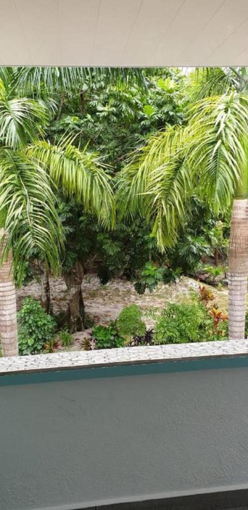 La Digue Self-Catering Apartments photo 4
