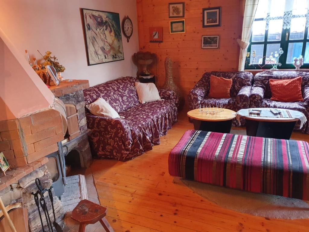 Апартаменты (Апартаменты с 2 спальнями), Ethno Homestay Savić