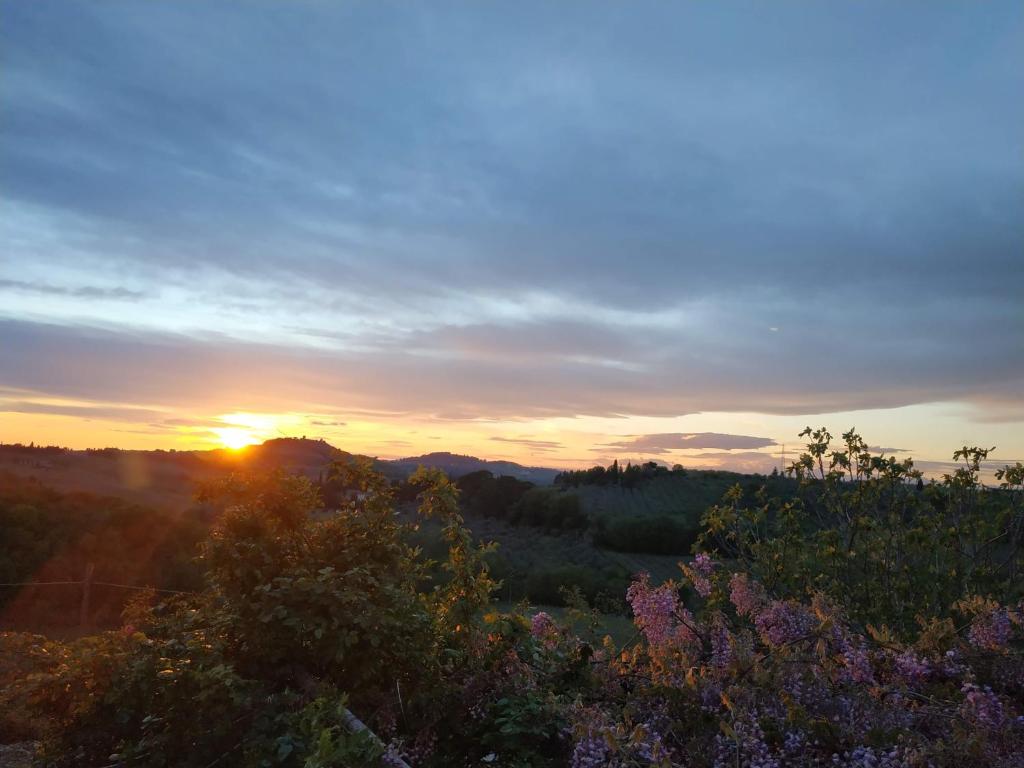 Poderi in Chianti photo 3