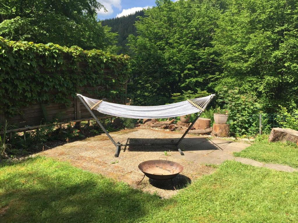 Ferienhaus Bussard photo 4