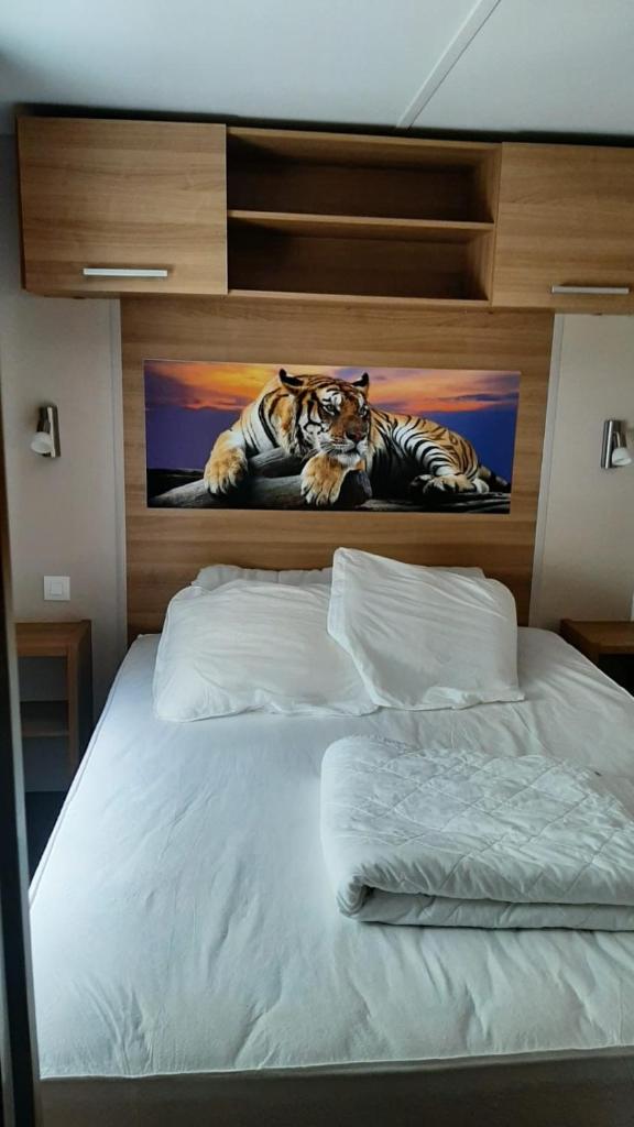 Assist' Mobil Home 262 - Mobil Home Excellence Bora Bora 3 chambres photo 3