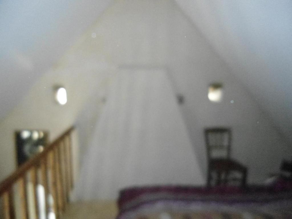 LA VUULE MAISON photo 2