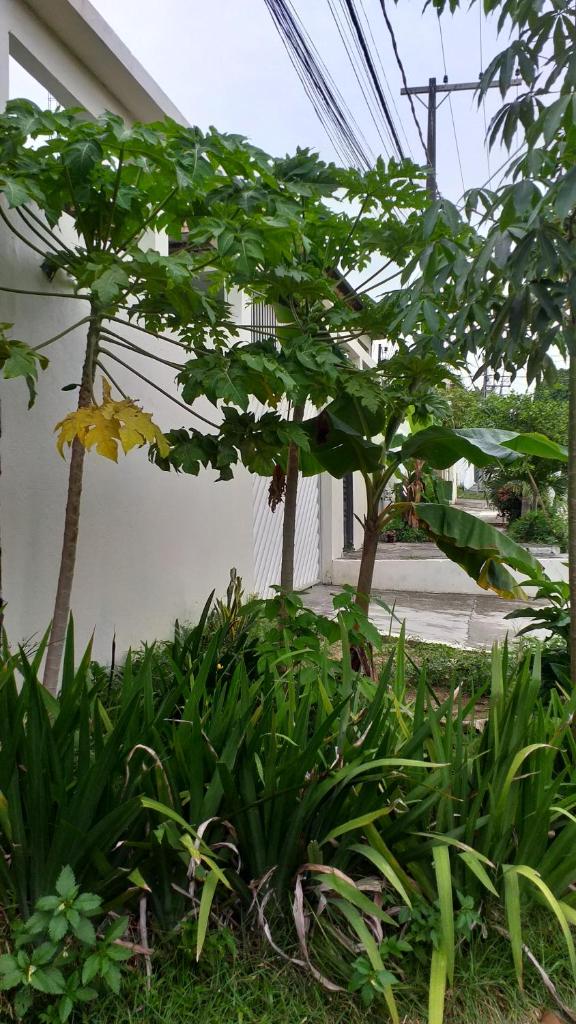 Arapiri Guest House photo 3