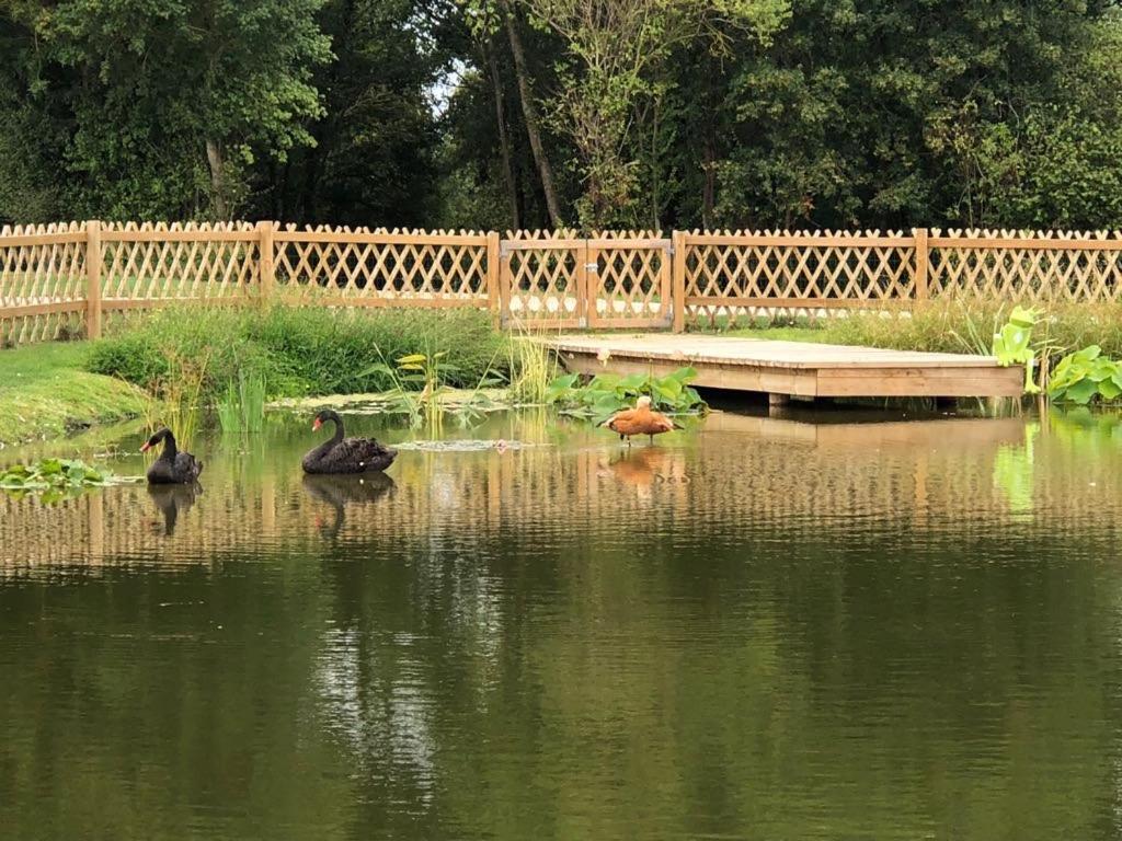 Gîte du Haras de la vallée de REUX photo 3