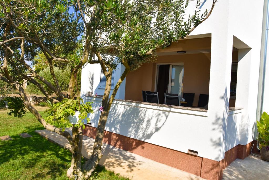 Apartments Mirela photo 3