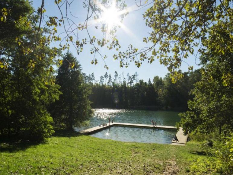 Dom Wakacyjny - Zakątek Marzenie photo 1