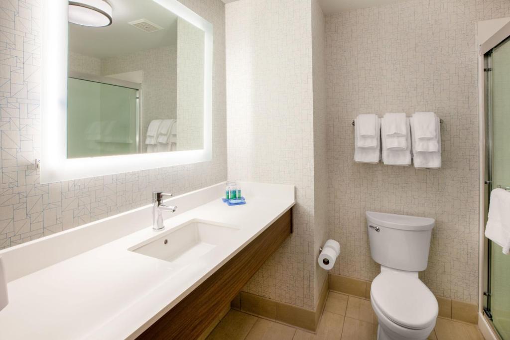 Holiday Inn Express & Suites - Ann Arbor - University South, an IHG Hotel photo 2