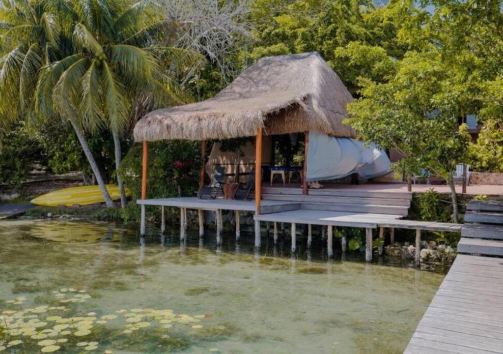 LAGOON SPECIAL Suite: Bikes & Kayaks! photo 4