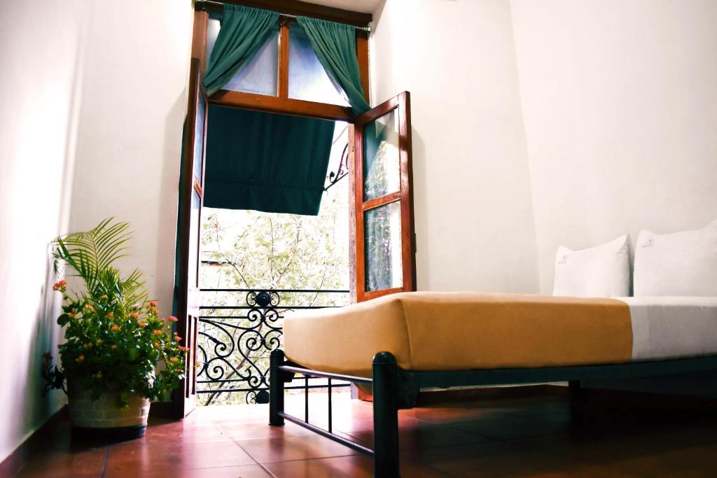 Mexico City Hostel photo 4