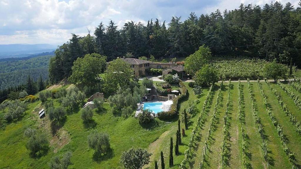 Villa Flora photo 1