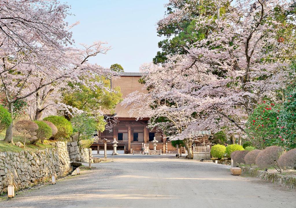 Miidera Onjo-ji photo 1