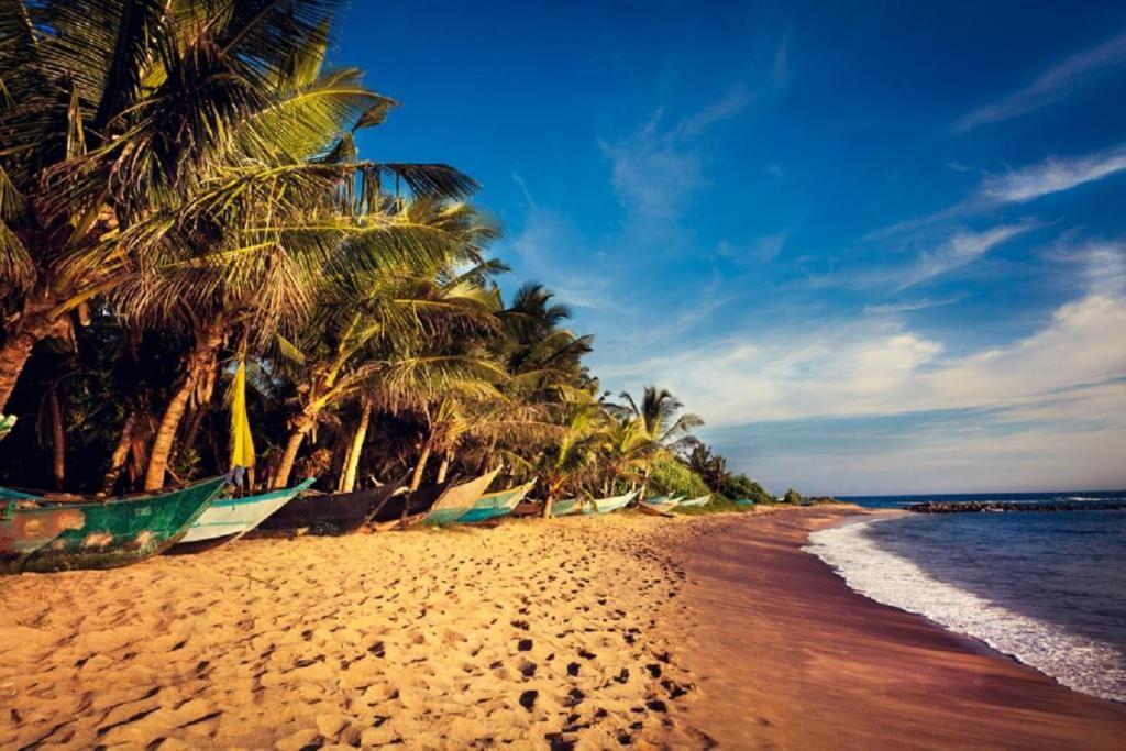 Nirvana Beach Ayurveda Resort photo 2