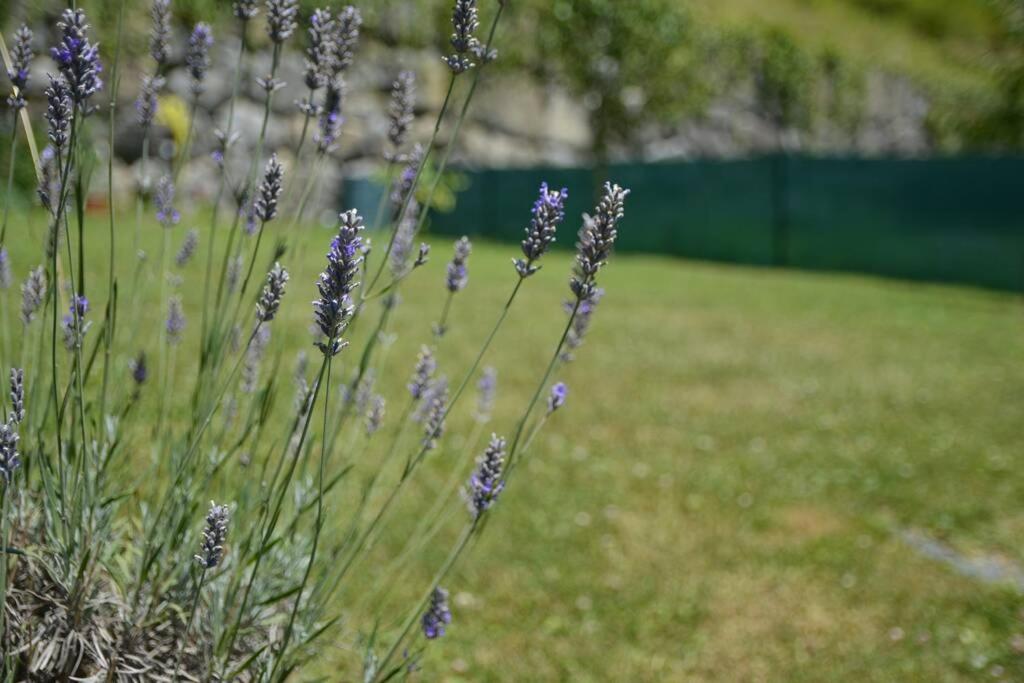 Casa Miruetxe photo 3