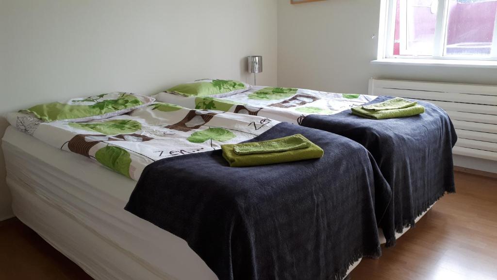 Brúnalaug Guesthouse - Holiday Home photo 3