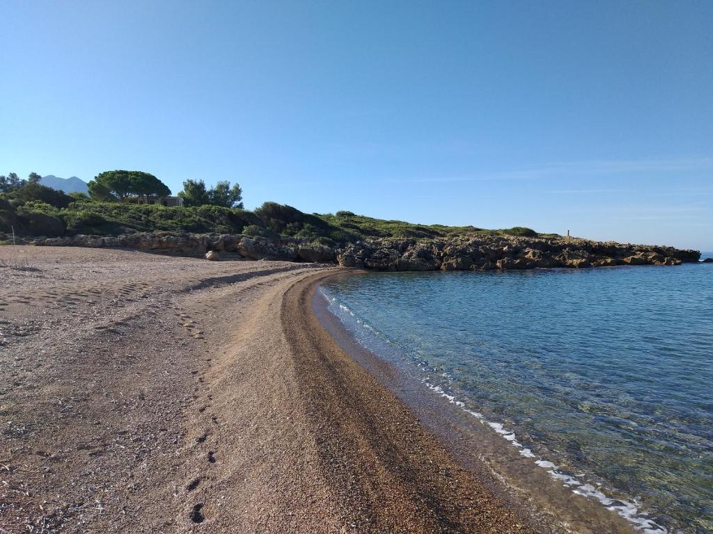 Tzanetos Seaside photo 2