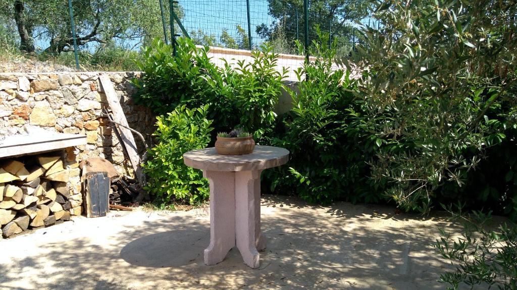 Apartman Ruža photo 2