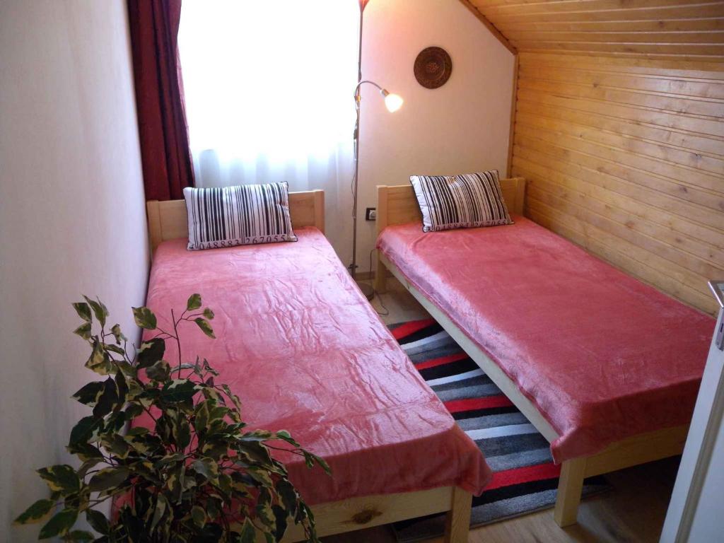 Apartments in Balatonkeresztur 37924 photo 4