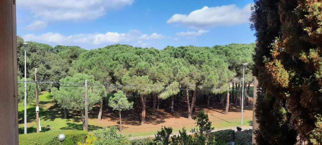 Apartamento de standing Calella de Palafrugell photo 3