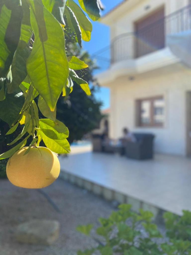 EPISKOPI VILLA, Luxury 4 Bedroom with Pool - Limassol photo 2