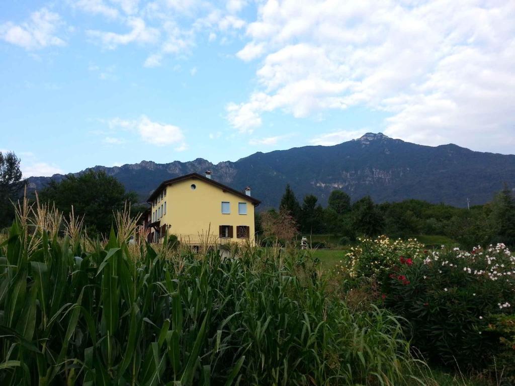 Holiday home in Velo d Astico 25854 photo 2