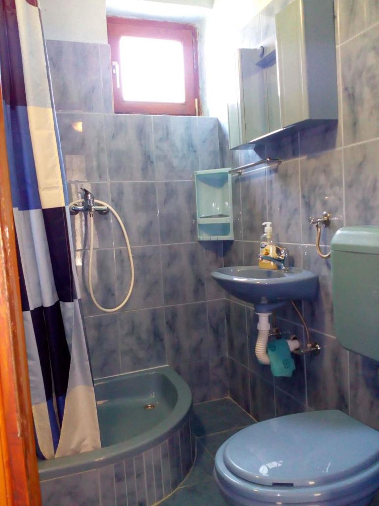 Holiday home in Cesarica 17117 photo 4