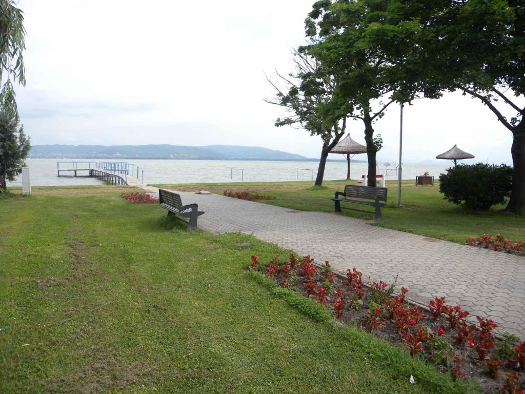 Holiday home in Balatonbereny 34655 photo 3